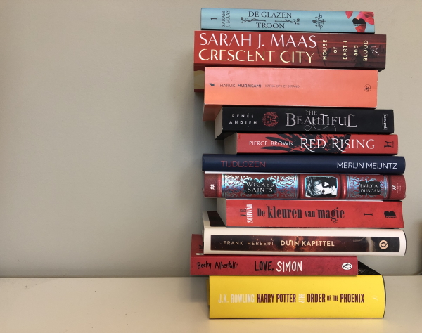 5 dingen die ik geleerd heb tijdens het schrijven van mijn eerste boek, The Books and The Bees, Merijn Meijntz